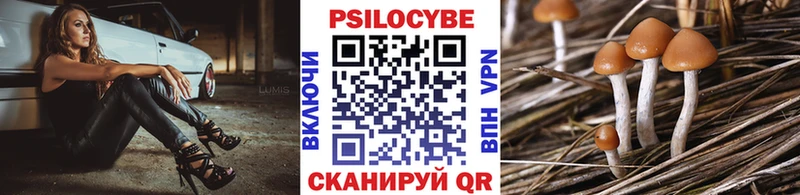 Псилоцибиновые грибы GOLDEN TEACHER  Буинск 